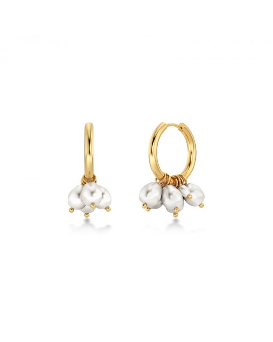 Edblad Pearl Signet Hoops Gold Σκουλαρίκια