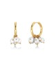 Edblad Pearl Signet Hoops Gold Σκουλαρίκια
