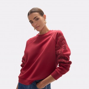 Lola Casademunt Floral Embroidery Sleeve Wine Πουλόβερ