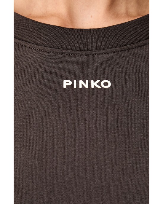 Pinko Basico T-shirt PINKO Logo Brown Μπλούζα