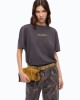 Pinko Strepitoso T-shirt Too Glam To Give A Damn Grey Μπλούζα