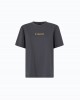 Pinko Strepitoso T-shirt Too Glam To Give A Damn Grey Μπλούζα