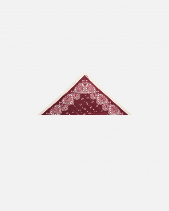 Pinko Swing Triangular Scarf With Floral Paisley Print Μαντήλι