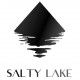 Salty Lake